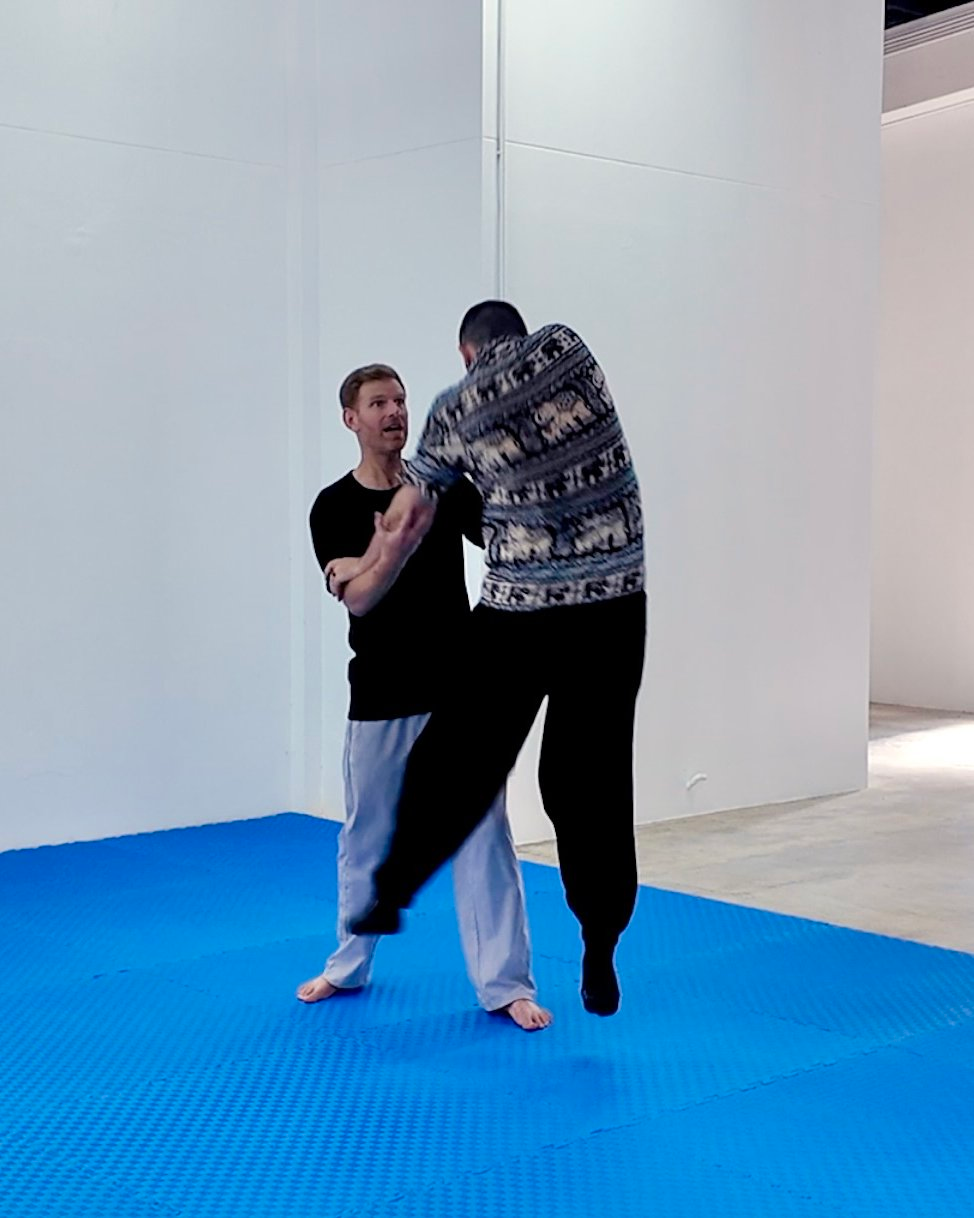 Principles of Internal Martial Arts